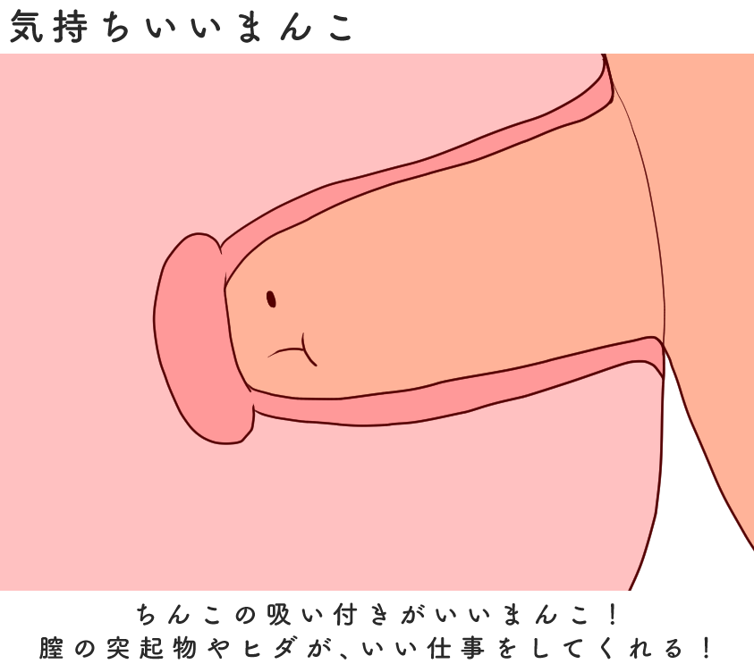 リアルディルド】本物そっくりで最高に気持ちいいディルド厳選12選 | 【きもイク】気持ちよくイクカラダ