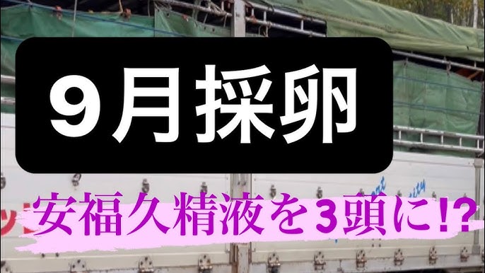 【結婚せずに子どもを産みたい】34歳独身女性　海外男性から精子提供を･･･決断の時　日本では来月から“夫婦のみ”に精子提供を開始