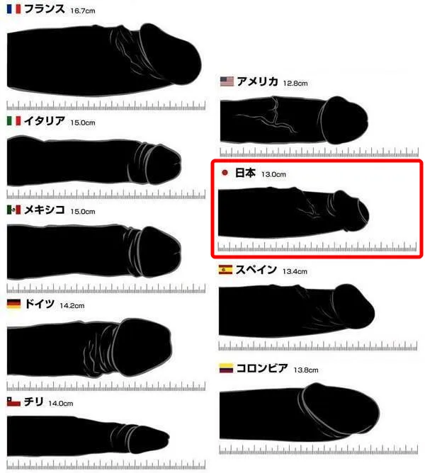 ペニスの平均サイズ | ネットのくすり屋さんコラム