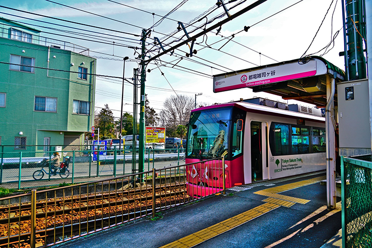 雑司が谷駅（東京都豊島区）周辺の大学・大学院一覧｜マピオン電話帳