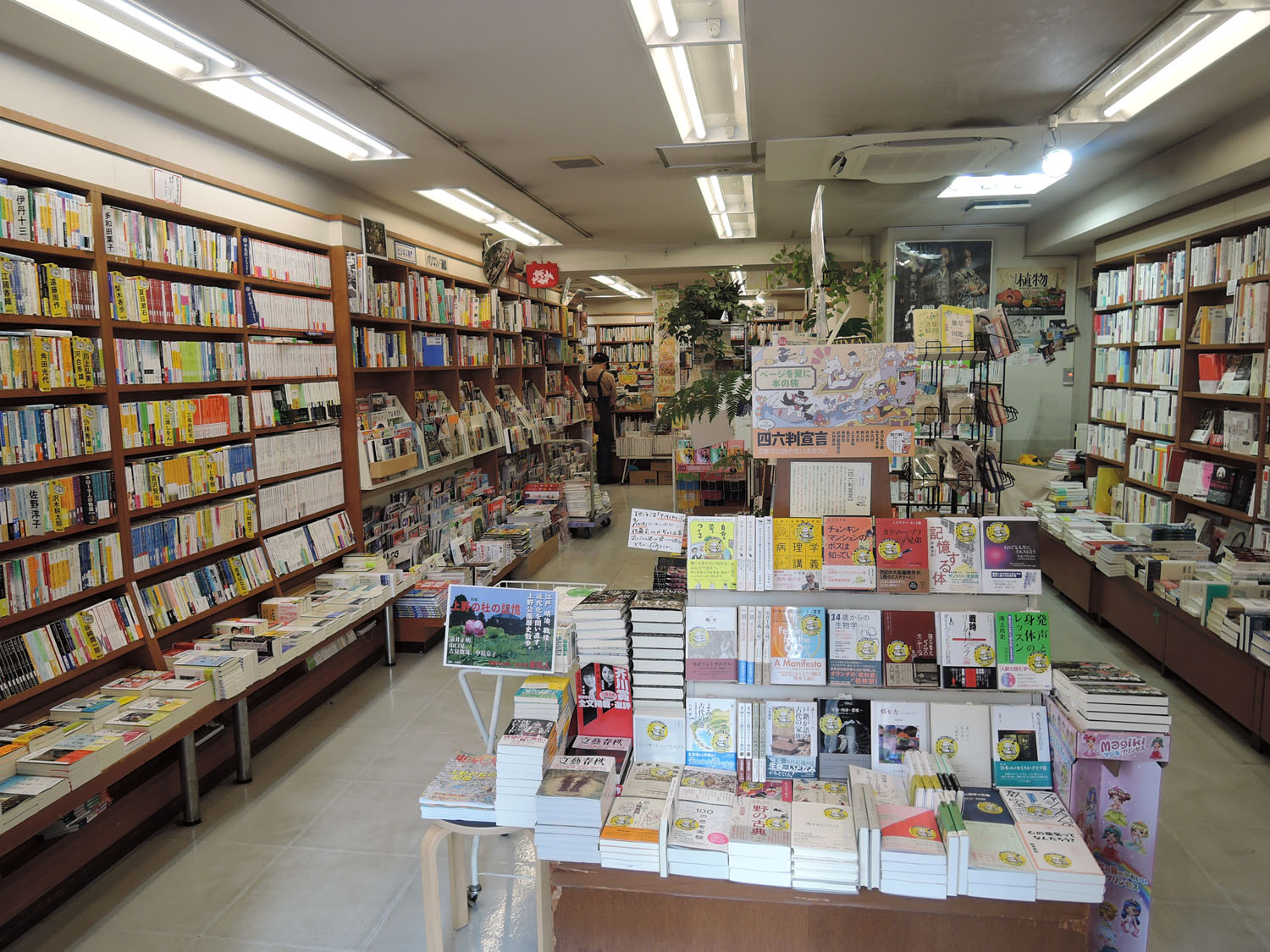 都電沿線のめぐりたくなる書店4選。街を知りたいならここを訪れよう！｜さんたつ by 散歩の達人