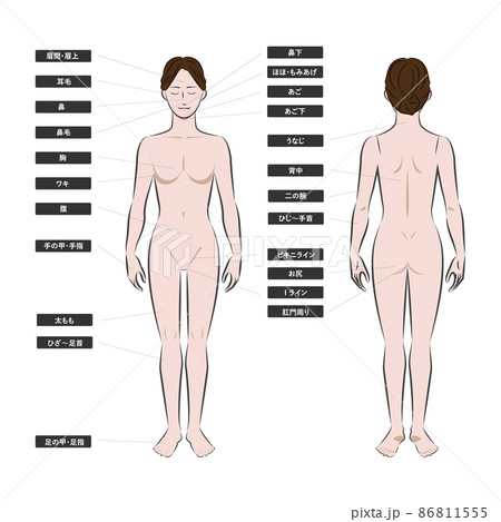 全自動オカズ】家で待ってれば全裸になる女達が集まってくる - DLチャンネル みんなで作る二次元情報サイト！