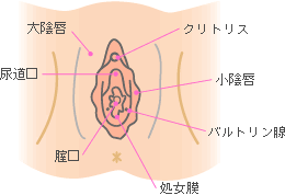 9割の男子が知らないクンニのやり方・コツ！圧倒的に気持ちいいテクを紹介｜駅ちか！風俗雑記帳