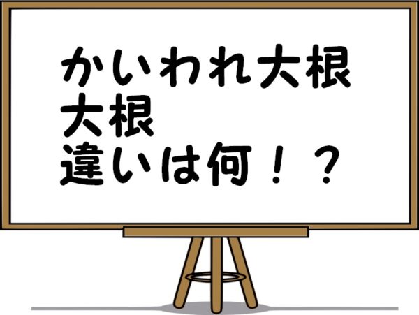 寝るzzz( ˘ω˘ )」 顔文字一覧