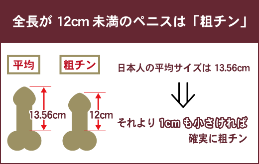 粗チンとは？粗チンとされる基準やメリット、デメリットを紹介！｜風じゃマガジン