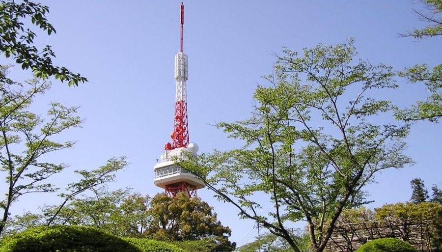 ルポ 歌舞伎町の路上売春 ――それでも「立ちんぼ」を続ける彼女たち (ちくま新書