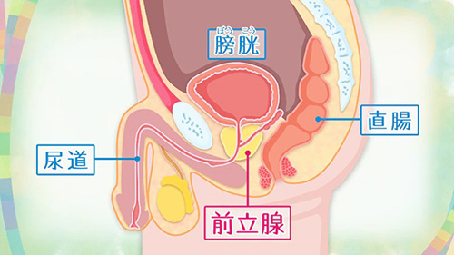 慢性前立腺炎を自分で治すストレッチ・マッサージ