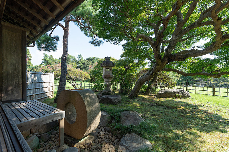 松戸のオススメ居酒屋情報