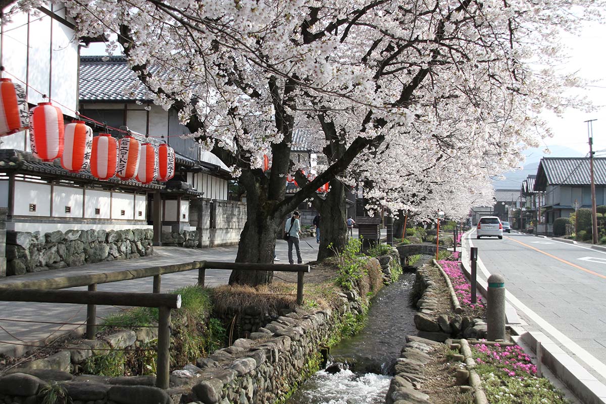 上州富岡駅周辺: 昭和スポット巡り｜観光地｜商店街｜純喫茶｜食堂