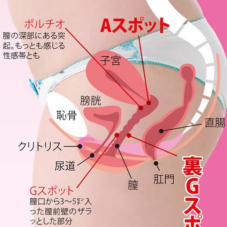 【完全版】女性が最も感じやすい性感帯の刺激方法３選