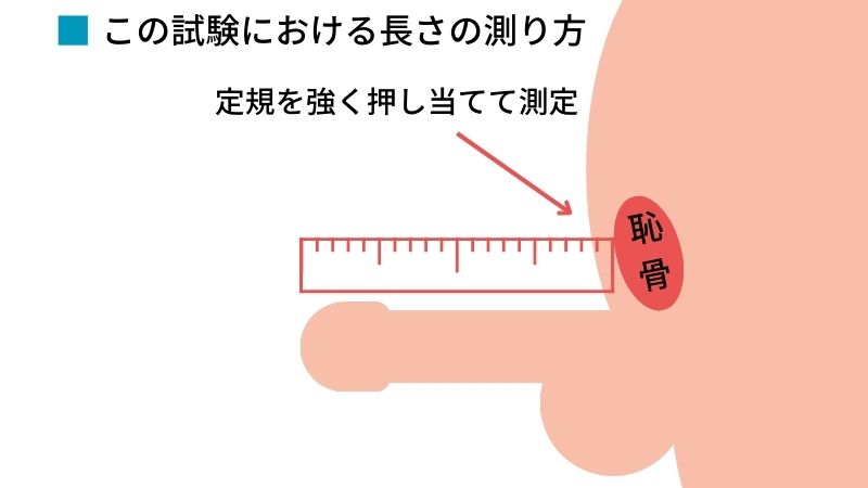 陰茎の大きさの基準は？ 大きく見せる方法も紹介