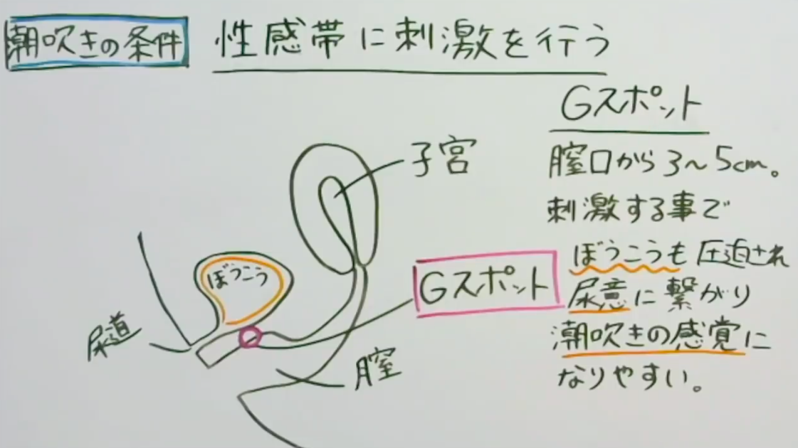 ハメ潮とは？やり方やコツ、ハメ潮吹きしやすい体位を詳しく解説｜風じゃマガジン