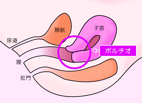 最強最高のセックス体位「寝バック」で中イキ方法【図解・動画】 | セクテクサイト