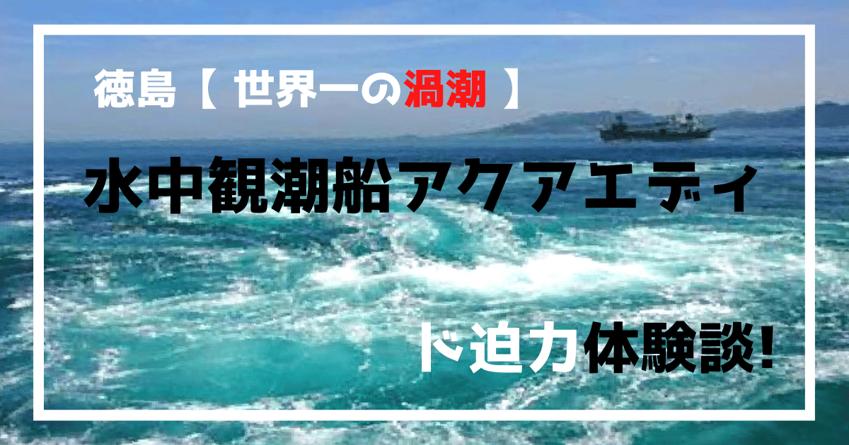 徳島県教育委員会「Go! Tomorrow」が更新されました。  令和６年度の進学情報第五弾は、県内４大学の「大学生からのメッセージ④（入試直前の対策について）」です。 