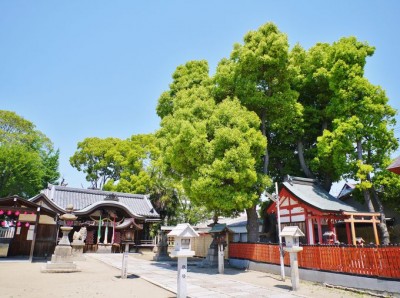 大阪府八尾市恩智神社 | まめまめが投稿したフォトブック | Lemon8