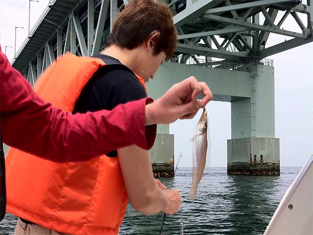 駐車場から釣り場はスグ目の前！この時期はキスの数釣りが楽しめるゾ【堤防釣りの生情報をお届け】 – ニュース | つりそく（釣場速報）