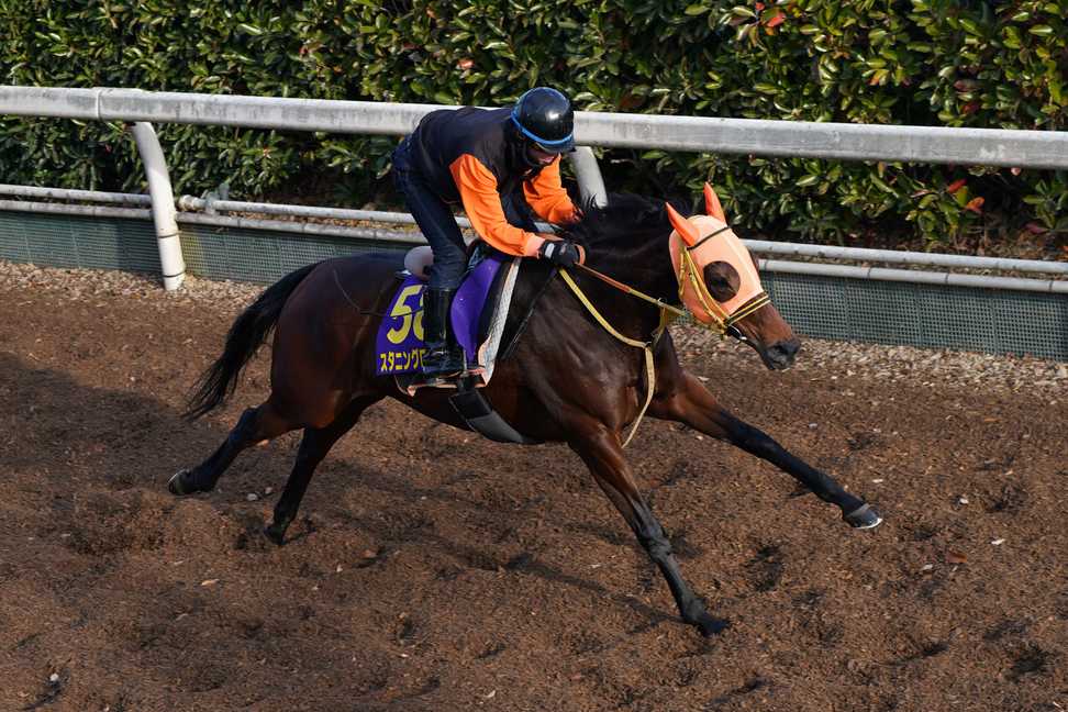 有馬記念 キーマンズトーク】スタニングローズ・高野友和調教師「逃げる競馬はさせたくない」｜競馬ニュース｜競馬予想のウマニティ