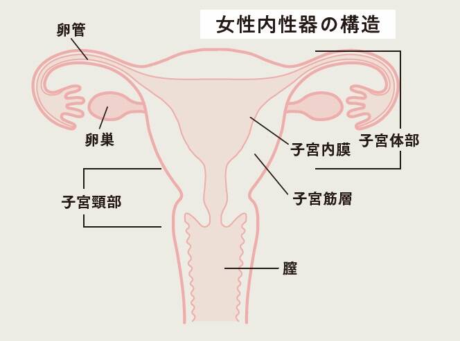 大恐竜展―ゴビ砂漠の驚異」 国立科学博物館 その2 | 猫アリーナ