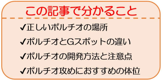 ポルチオ性感帯って何？どこにある？gスポットとどこが違うの - g スポット ポルチオ