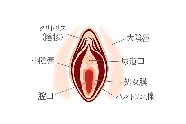 正しいマスターベーションのやり方】を子供に教えるには？泌尿器科医に聞いてみたー監修記事ー | 女性医療クリニックLUNAのBLOG