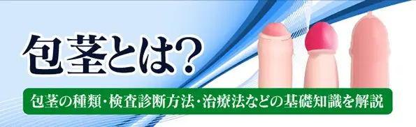 一般女性代表の当院女性スタッフ「伊藤さん」のプライベートを覗いてみた！ – メンズ形成外科 | 青山セレス&船橋中央クリニック