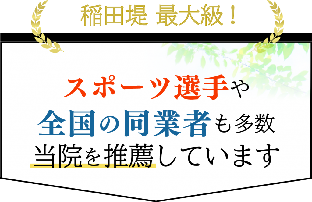 2024年最新】あおい鍼灸整骨院 稲田堤院の整体師求人(正職員) | ジョブメドレー