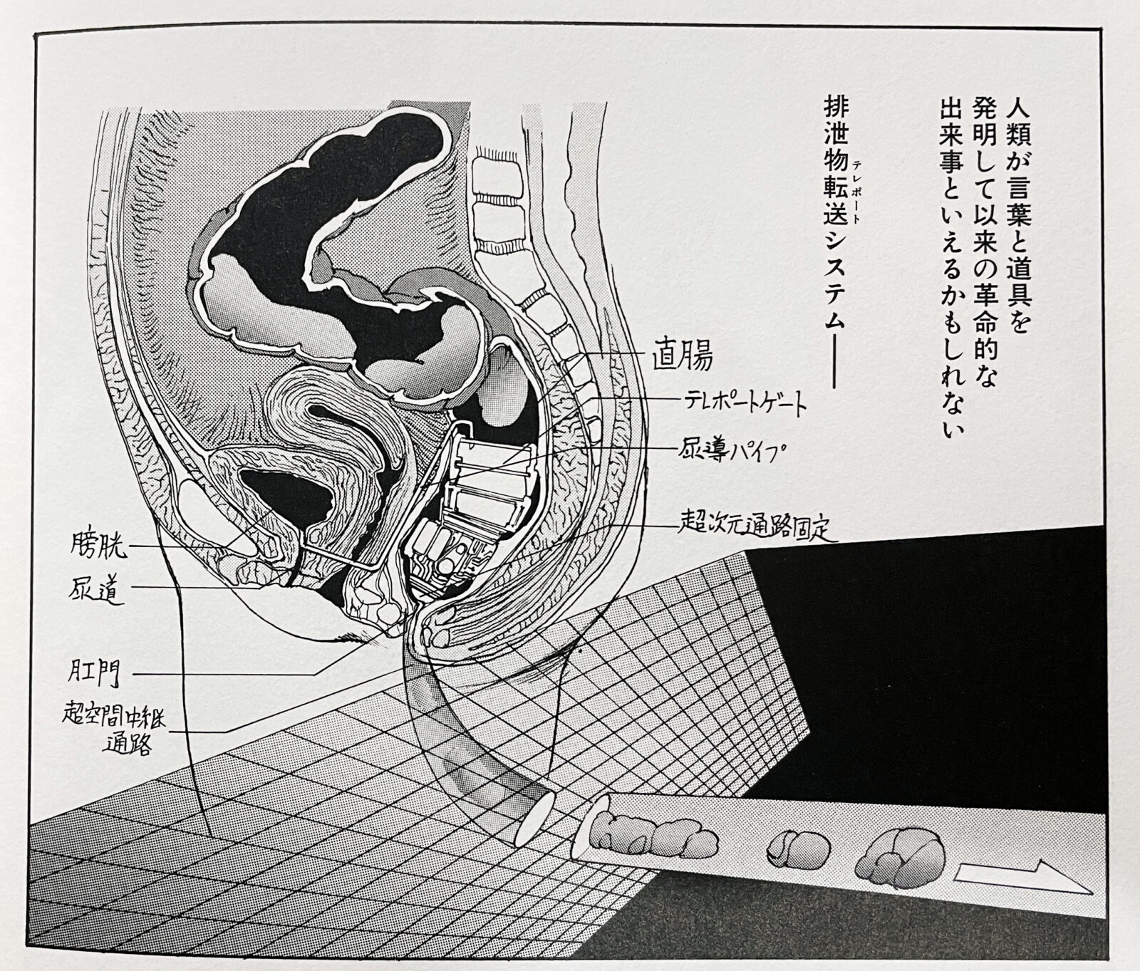 美少女カルテVol.10 女子高修学旅行2』 - 澱夜書房::oryo-books::