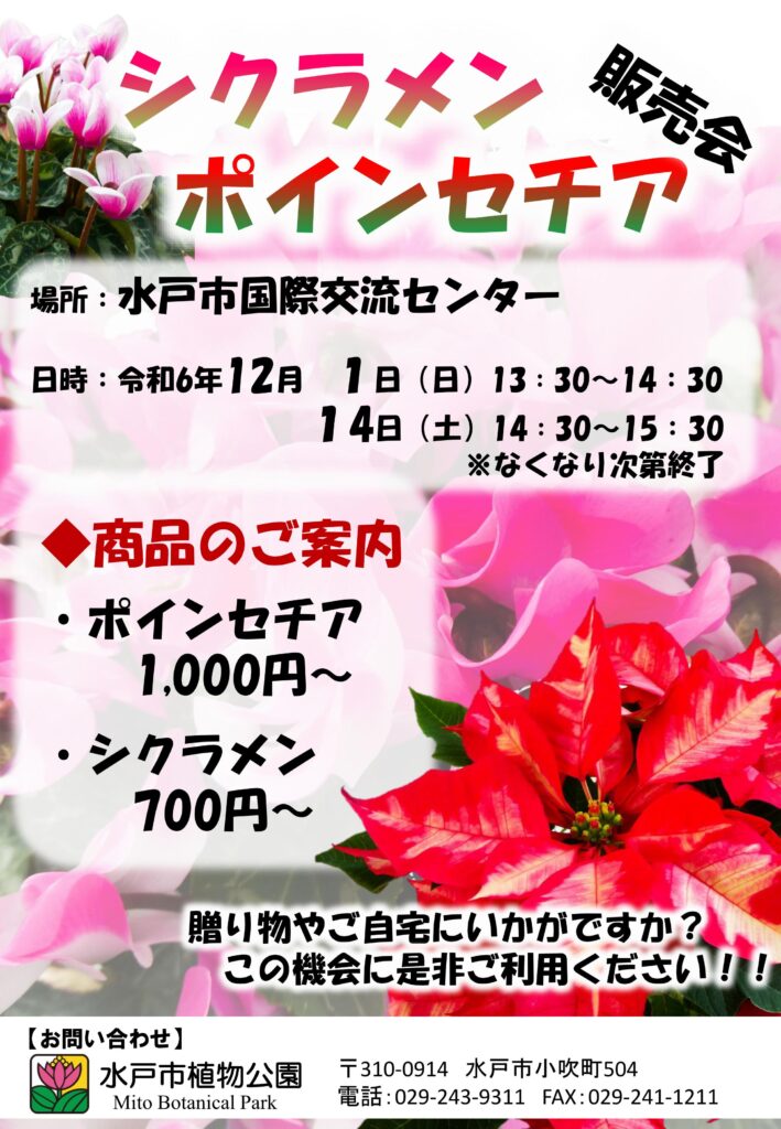 水戸のウメ」が園芸文化遺産 ナショナルコレクションに 偕楽園や水戸市植物公園の列公梅や輪違いなど |