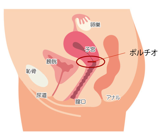 東方Project】膣ポルチオ欲求奴隸 - 同人誌