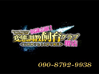 すみれさんインタビュー｜すちゅーでんと｜日本橋オナクラ・手コキ｜【はじめての風俗アルバイト（はじ風）】