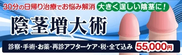 ペニスとクリトリス「勃起・形・メカニズム」の違い【比較完全図解】 | セクテクサイト