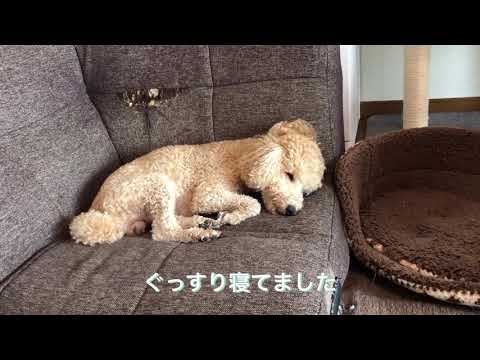 公式】名駅南 ラブホテル ホテル ザ・スターホテル