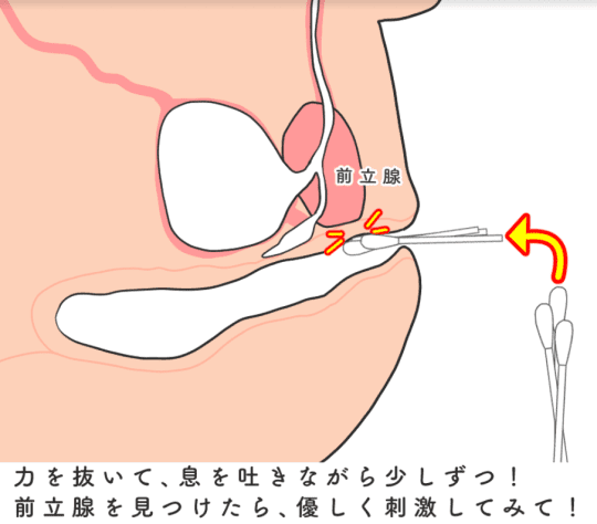 綿棒オナニーはコスパ最強！魅力やより気持ち良くなれるコツを大公開！｜風じゃマガジン