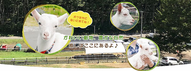 高評価】うづ志ほ名産店 淡路島牛乳ドーナツの感想・クチコミ・商品情報【もぐナビ】