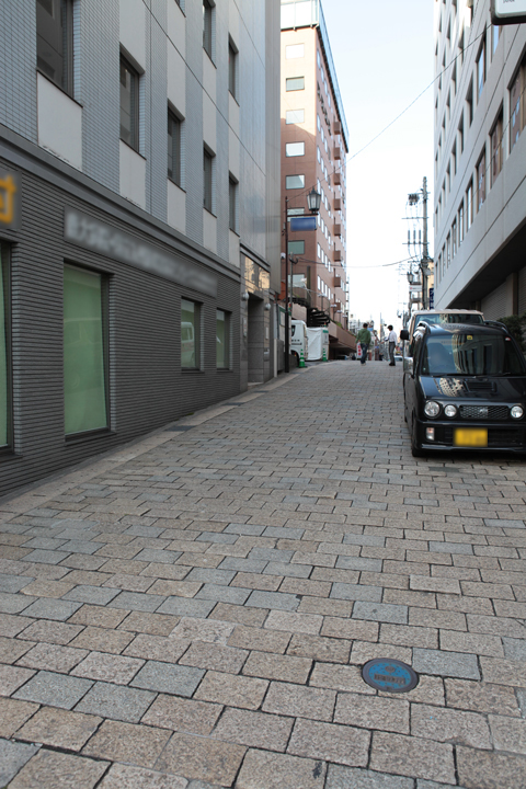 鹿児島-4 鹿児島市電 路面電車は便利 ☆天文館-高見馬場‐鹿児島中央駅など』鹿児島市(鹿児島県)の旅行記・ブログ