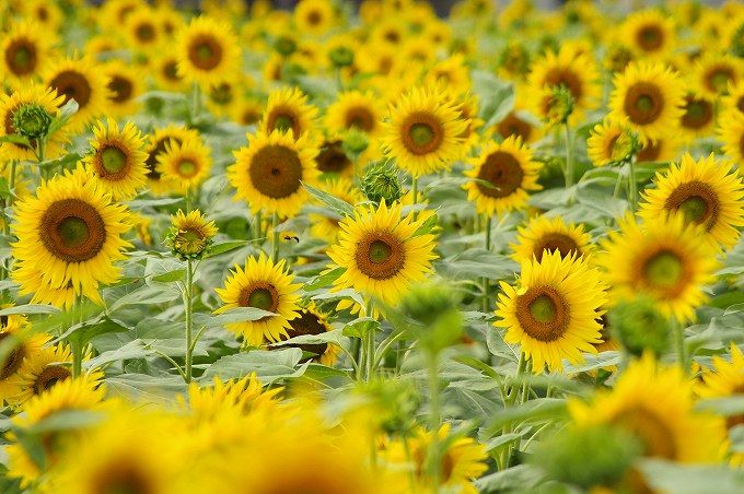 北九州市八幡東区】入場無料！見て触れて、遊びながら楽しく学べる「タカミヤ環境ミュージアム」 | 子育て応援サイト CHEER!days