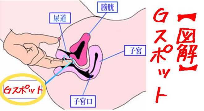 Gショット（Gスポットヒアルロン酸注入） | 美容整形外科のジョウクリニック